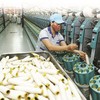 11 hiệp hội, ngành hàng đề nghị làm rõ “cơ sở pháp lý” của một dự thảo Nghị định