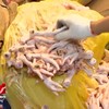 Nỗi lo an toàn thực phẩm dịp Tết