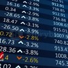Vừa rủi ro vừa vi phạm pháp luật khi chơi Forex