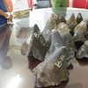 Làm thế nào để những chiếc sừng tê giác trị giá hàng tỉ đồng không còn tuồn vào Việt Nam?