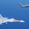 Phi công F-35 Italia xin nghỉ hưu sau cuộc ‘chạm trán hú hồn’ với Su-30SM Nga?