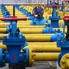 Cựu Thủ tướng tiết lộ thời điểm Ukraine sẽ cạn kiệt dự trữ khí đốt