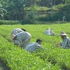 Đề xuất mới nhất của Hội đồng Thẩm phán Tòa tối cao về giảm mức hình phạt đã tuyên