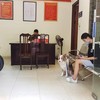 Phạt 2 triệu đồng cô gái dắt thú cưng đi dạo trong ngày giãn cách xã hội
