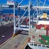 Phát hiện gần nửa tấn heroin trong container được chuyển đến Australia
