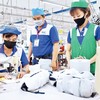 Người nhận “hưu non” tăng chóng mặt, Tổng Liên đoàn nêu hàng loạt giải pháp