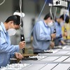 Doanh nhân Sao Đỏ bàn chuyện ‘Tái tạo năng lượng để đột phá’ hậu Covid–19