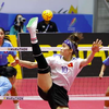 9 đội tuyển Việt Nam không có 'vàng' SEA Games 31