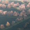 Trưng bày các bức ảnh "Đất nước vào xuân"