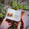 Bộ sách nhỏ xíu "Những người phụ nữ bé nhỏ" chinh phục độc giả và nhà sưu tầm
