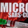 TP HCM đã có 5 ca lây nhiễm Omicron trong cộng đồng, các ca đều âm tính rất nhanh