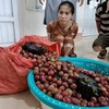 Sự thật trong bao tải mận của người phụ nữ nhập vai buôn hoa quả