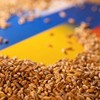 Thỏa thuận xuất khẩu ngũ cốc từ Ukraine tiết lộ chi tiết nguy hiểm đối với Mỹ