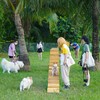 Cận cảnh công viên dành cho thú cưng tại Hà Nội