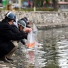 Phạt tới 7 triệu đồng khi thả cá, thả cả túi nilon