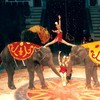 Chuyện chưa kể về những gánh xiếc tư ở Hà Nội (1): Lưu diễn