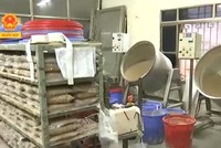 Tận mắt xem "công nghệ" chế biến trà sữa trân châu Feeling Tea từ bột màu, hóa chất Trung Quốc