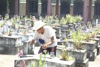 Chuyện về người quản trang 30 năm trông coi các mộ phần liệt sĩ