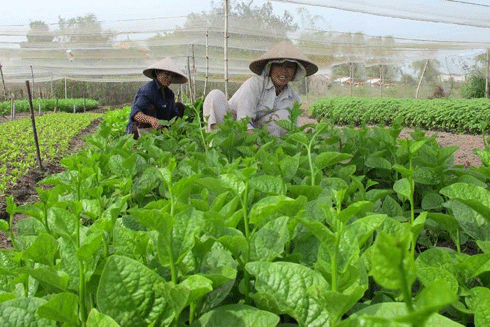 Chuyện ăn uống, xây nhà, phòng cháy làm nóng kỳ họp Hội đồng Nhân dân ảnh 4