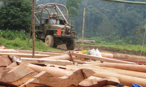 Tịch thu gỗ lậu của... Đội trưởng đội bảo vệ rừng ảnh 1