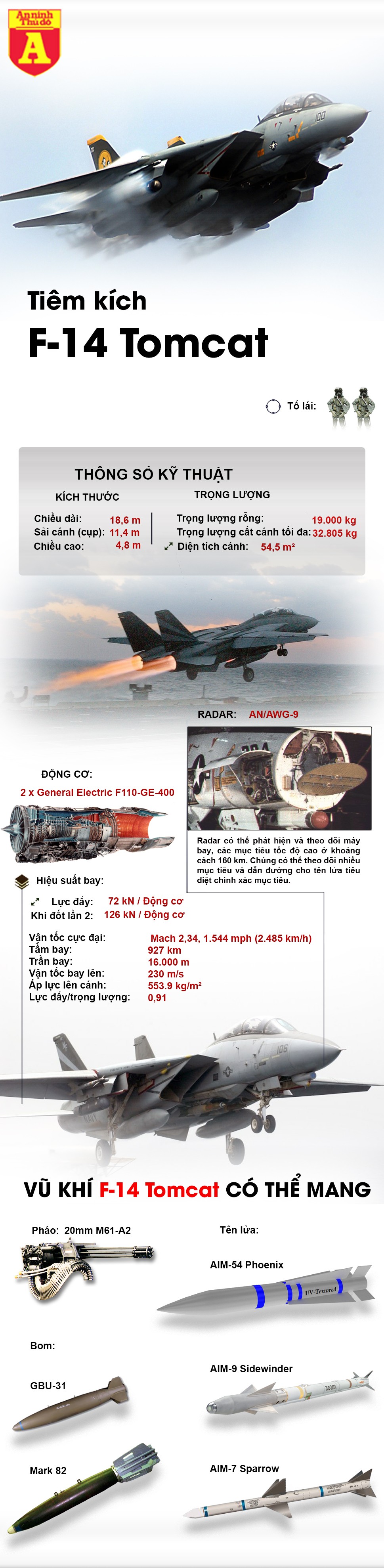 [Infographic] Iran bất ngờ hồi phục tiêm kích hạm F-14 'Mèo đực' ảnh 2