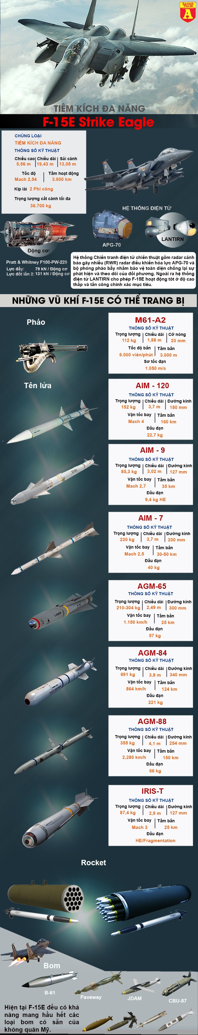 [Infographic] Phiến quân hồi giáo vừa dùng tên lửa của Nga bắn trúng máy bay F-15 do Mỹ sản xuất ảnh 4