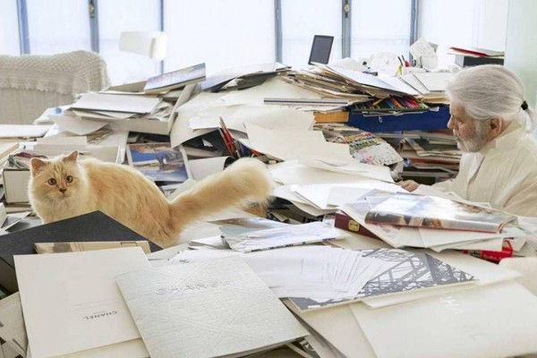 Cuộc sống sang chảnh của Choupette - cô mèo giàu nhất thế giới