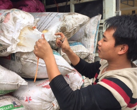 CSGT phát hiện, thu giữ 5 tấn mỡ bò bẩn trên xe tải ảnh 2