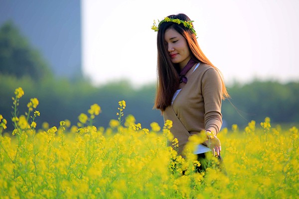 Hoa cải cuối đông rực rỡ ven sông ảnh 4