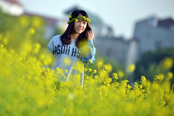 Hoa cải cuối đông rực rỡ ven sông ảnh 9