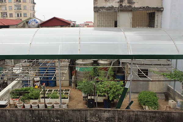 Mô hình trồng rau sạch được sắp xếp khoa học, hợp lý của gia đình ông Hải
