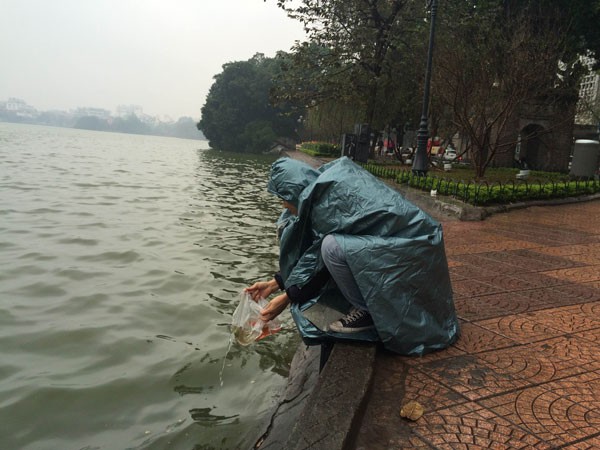 Người Hà Nội đội mưa lạnh thả cá chép tiễn ông Công, ông Táo ảnh 5