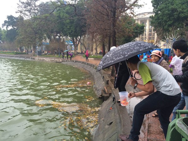Người Hà Nội đội mưa lạnh thả cá chép tiễn ông Công, ông Táo ảnh 7