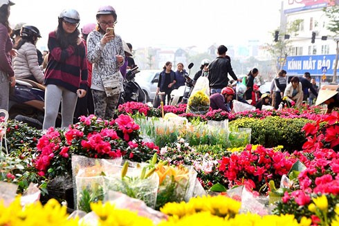 Chợ hoa Hoàng Hoa Thám tấp nập không kém chợ hoa Hàng Lược, Quảng An trong ngày cận Tết