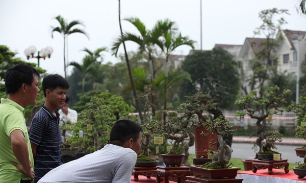 Lễ hội sinh vật cảnh lớn nhất Việt Nam tại Vinhomes Riverside ảnh 4