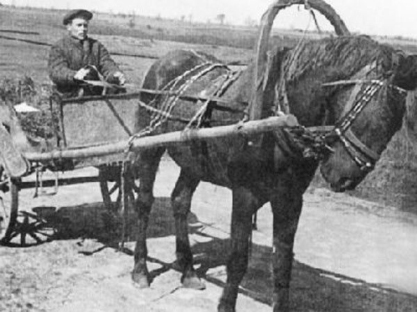 “Cuộc sống thời chiến của cha mẹ tôi đầy khắc nghiệt nhưng không hận thù” ảnh 2