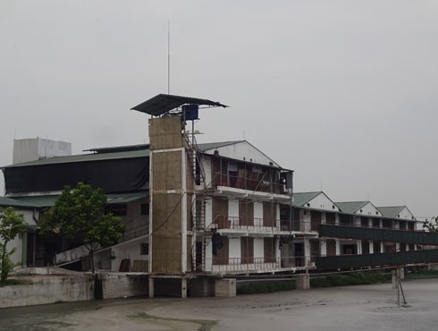 Anh nông dân sang trời Tây học cách nuôi lợn ảnh 4