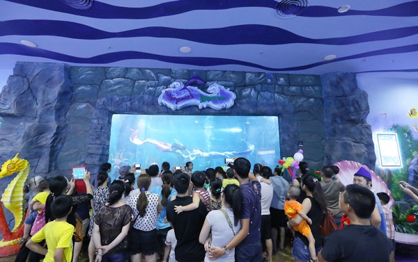 Vinpearl Land phát động ghép hình “bức tranh bảo vệ động vật” kỷ lục Việt Nam ảnh 2