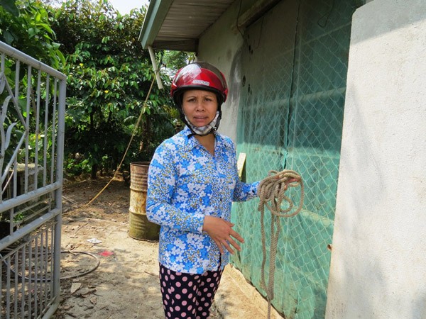 Nghi án một gia đình bị trộm chuốc thuốc mê, đưa xe tải “cướp” cả đàn trâu ảnh 1