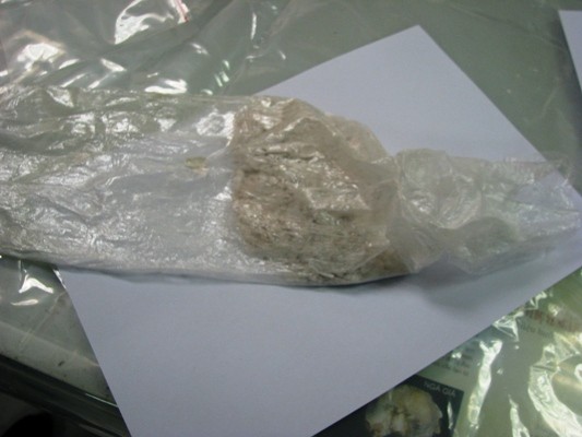Lô ma tuý 11 tỷ đồng bị bắt tại sân bay Tân Sơn Nhất ảnh 1