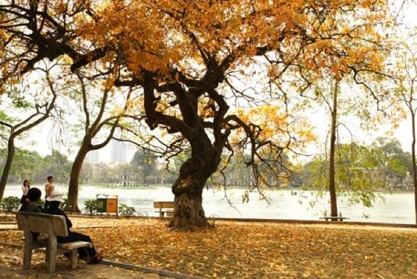 Vũ hội công dân toàn cầu – “Yêu thương trong từng bước nhảy” ảnh 1