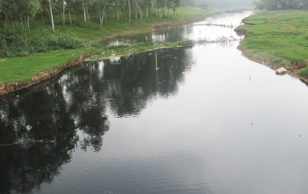 Sông Đáy thơ mộng bị ô nhiễm trầm trọng, trở thành "dòng sông chết" ảnh 3