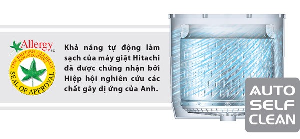 “Tận hưởng cuộc sống giữa những bộn bề” ảnh 2