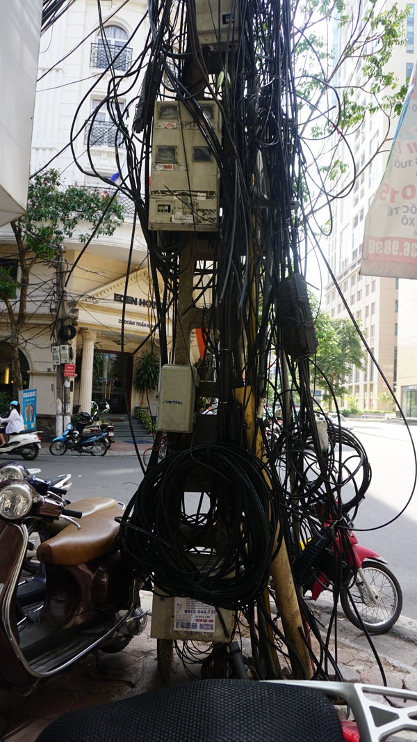 Kỳ lạ những trụ cột điện “lớn lên” theo thời gian ảnh 3