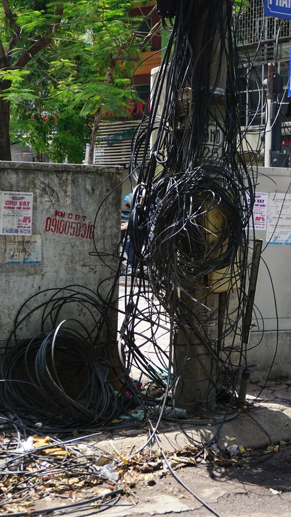 Kỳ lạ những trụ cột điện “lớn lên” theo thời gian ảnh 13