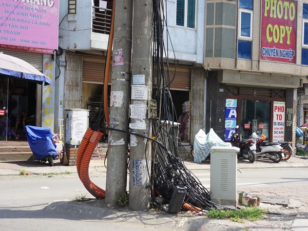 Kỳ lạ những trụ cột điện “lớn lên” theo thời gian ảnh 5