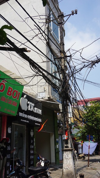 Kỳ lạ những trụ cột điện “lớn lên” theo thời gian ảnh 4