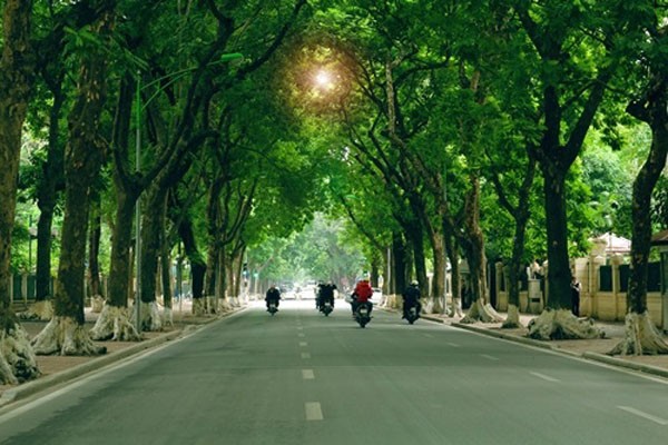 Hàng cây xanh là một trong những đặc trưng của Thủ đô Hà Nội