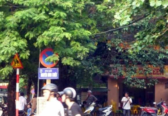 Đầu tư xây dựng đường Nguyễn Đình Chiểu kéo dài ảnh 1