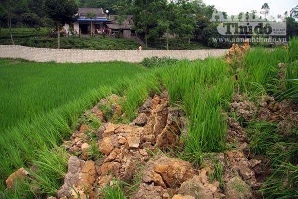 Sức mạnh của “sóng thần" núi thải đất đá ảnh 6